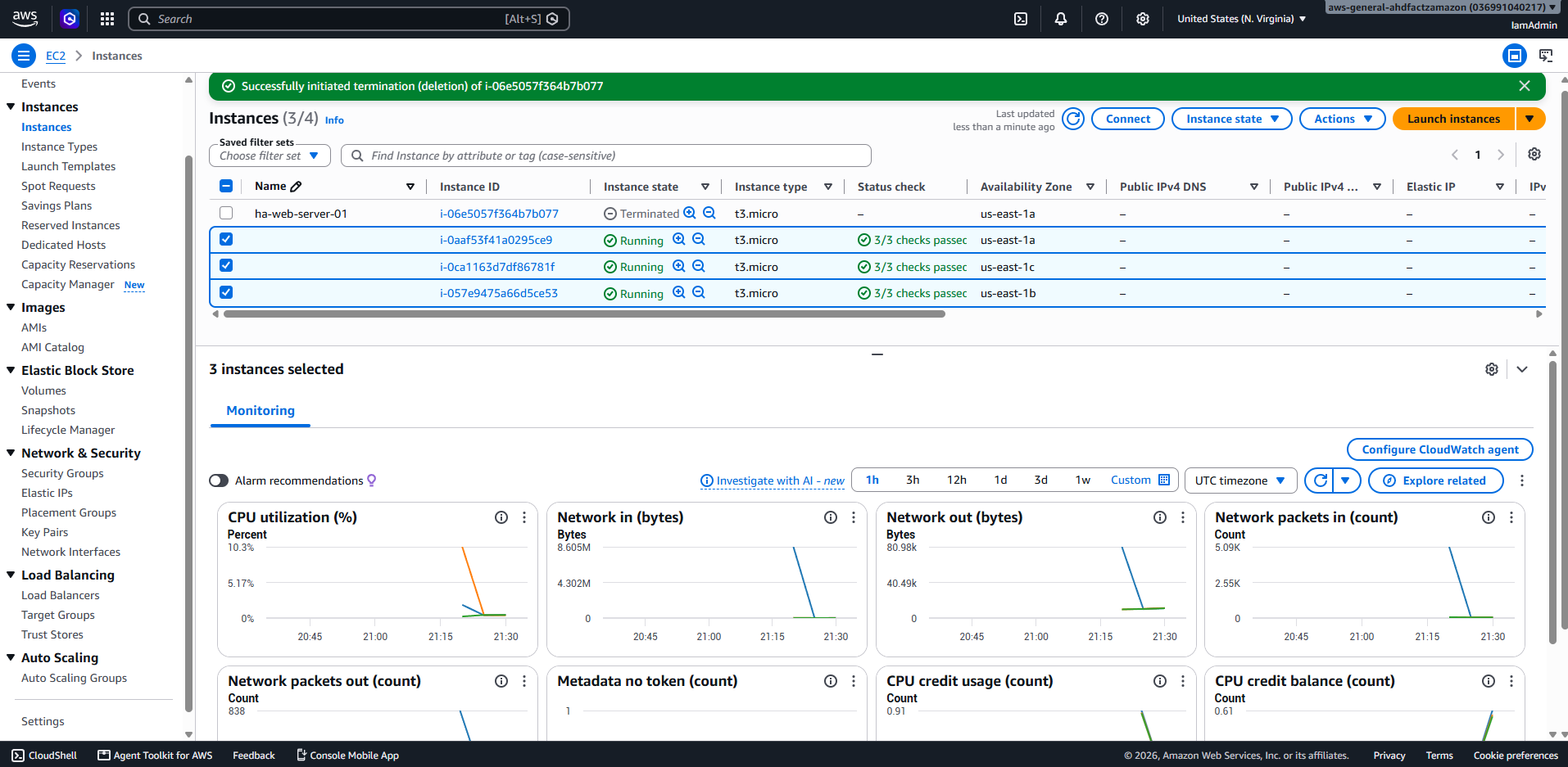Three EC2 instances created by the Auto Scaling Group