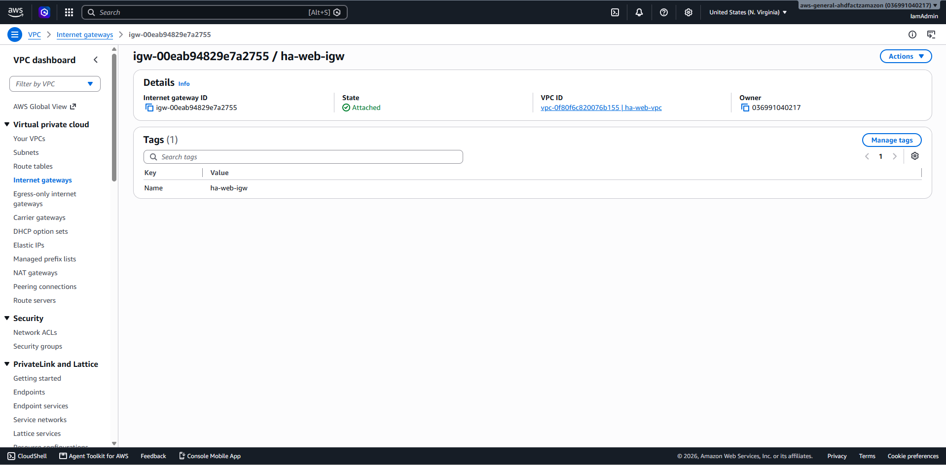 Internet Gateway attached to the VPC